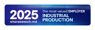 TOP CEI MAI APRECIAȚI ANGAJATORI 2025 Producție industrială