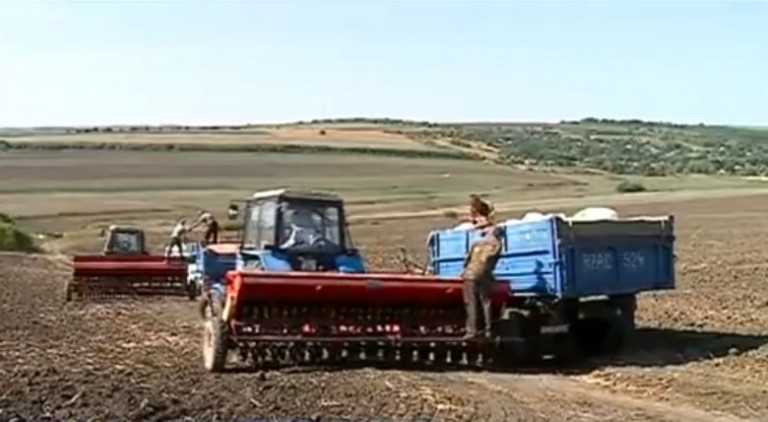 Profesia - intre vocatie si necesitate. Ce ofera piata muncii din Moldova Profesia - intre vocatie si necesitate. Ce ofera piata muncii din Moldova
